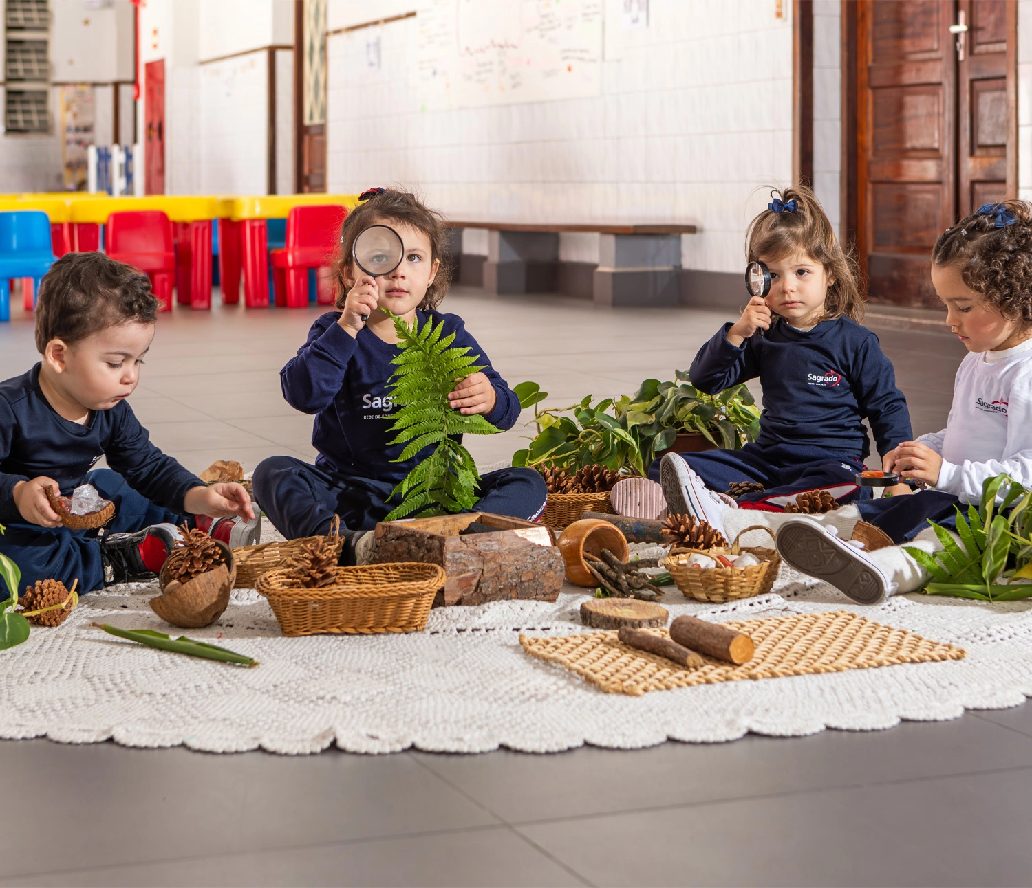 Educação Infantil