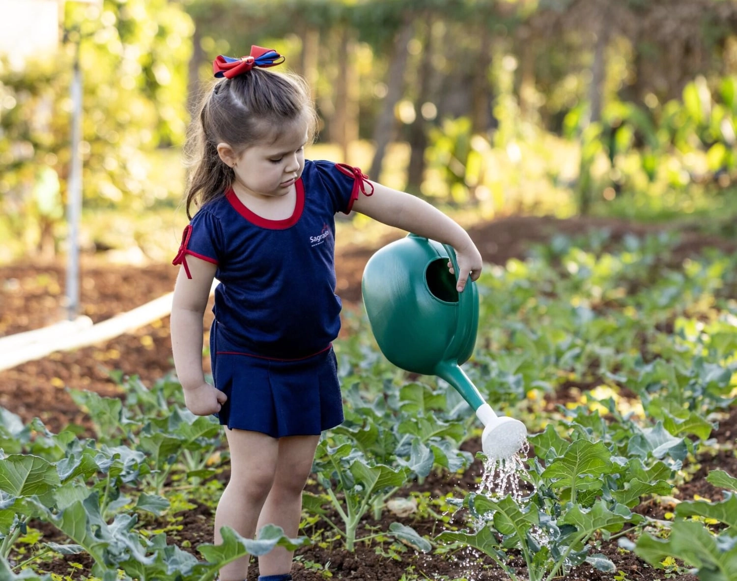 Educação Infantil