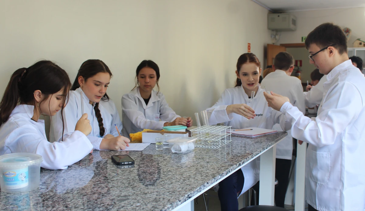 Galeria