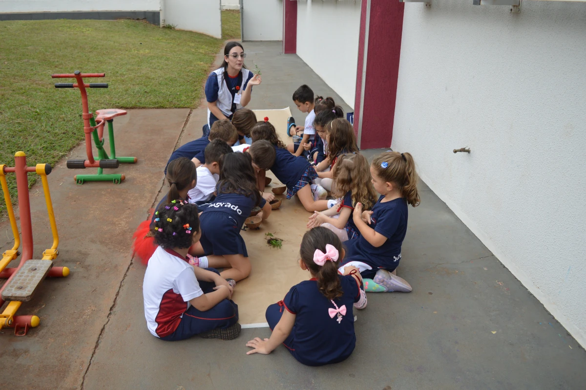 Galeria