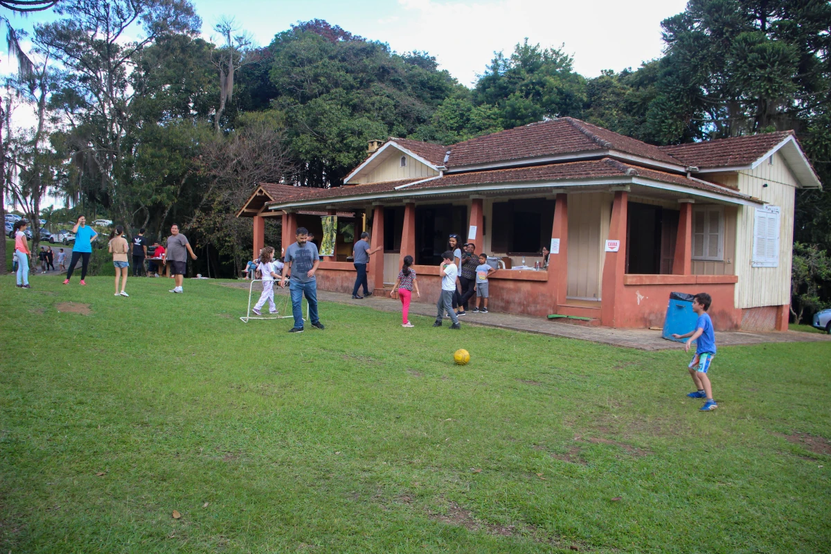 Galeria