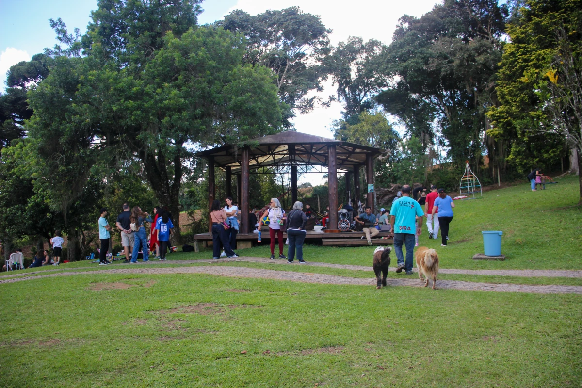 Galeria