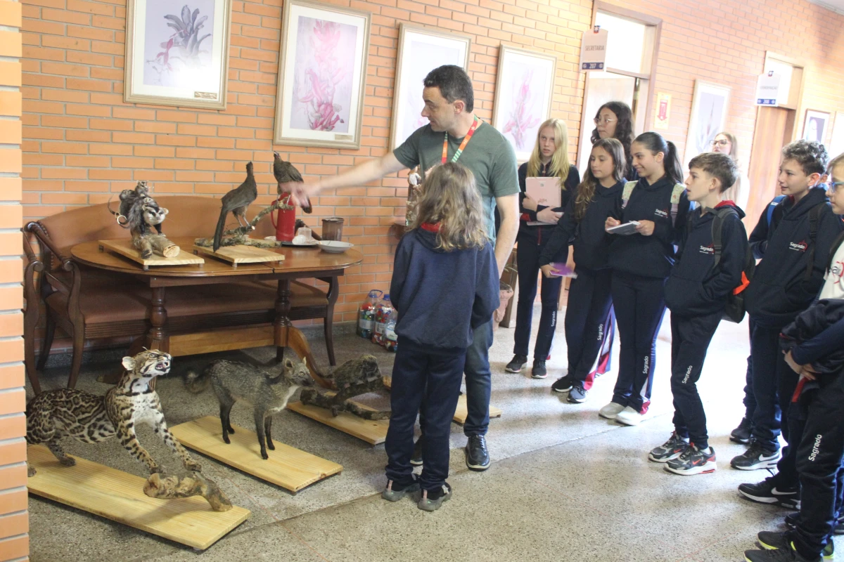 Galeria