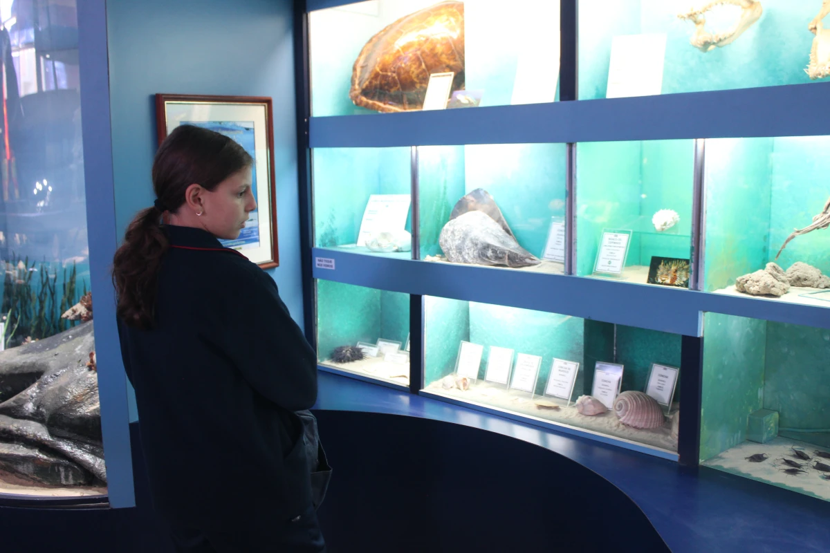 Galeria