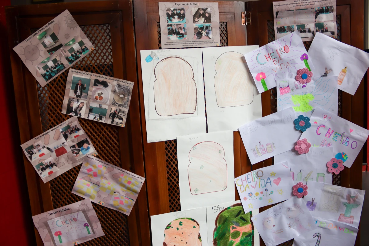 Galeria