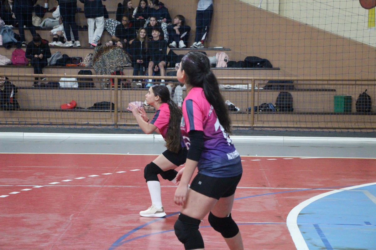 Galeria