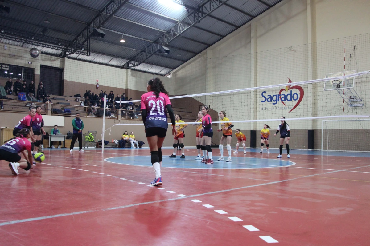 Galeria
