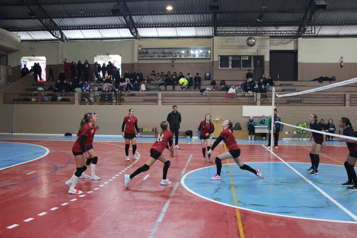 Galeria