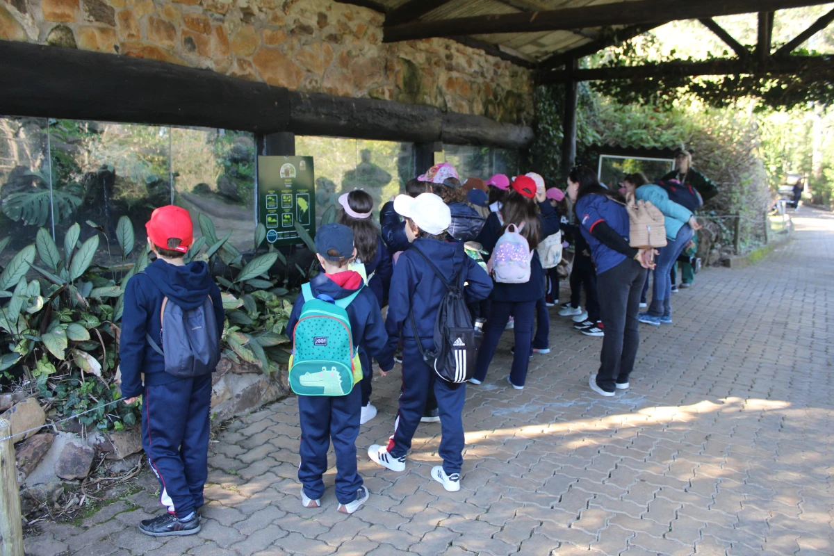 Galeria