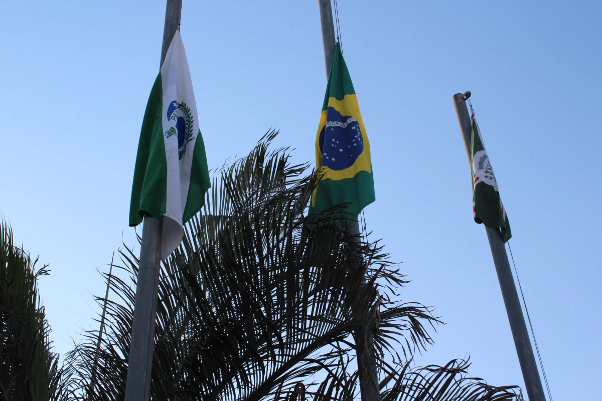Galeria