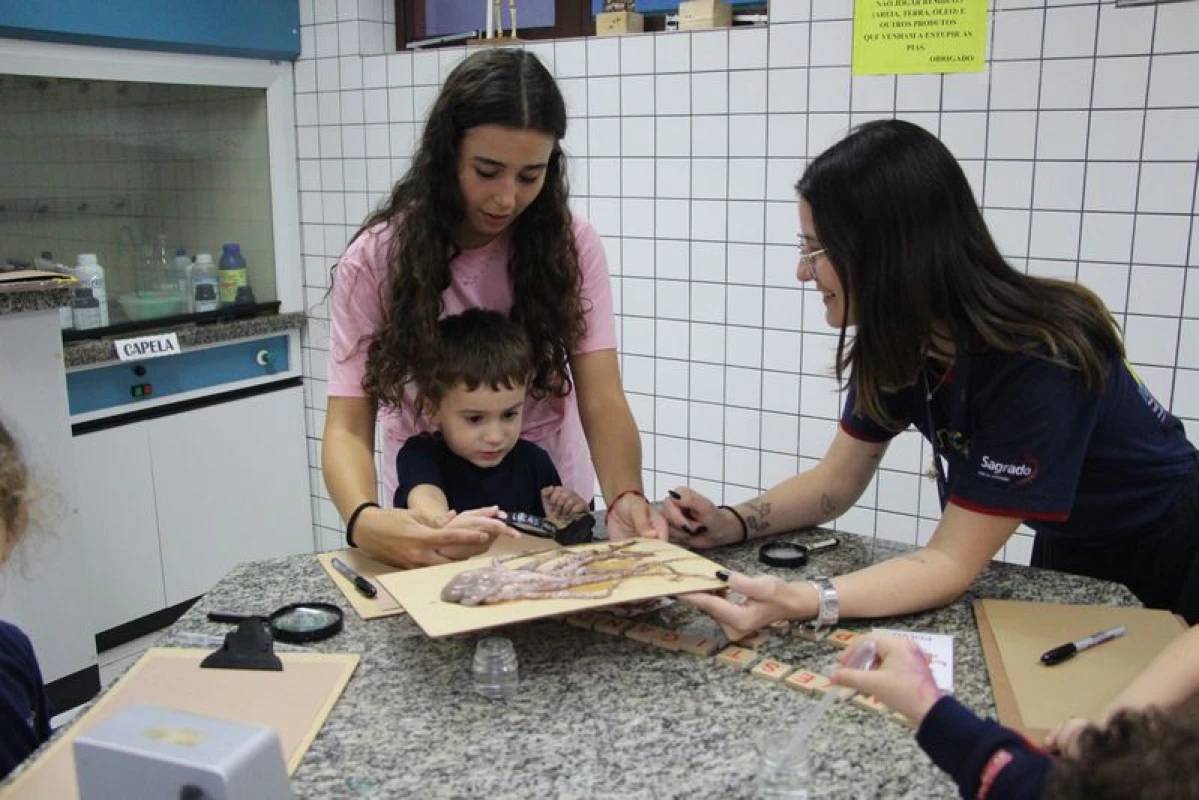 Galeria
