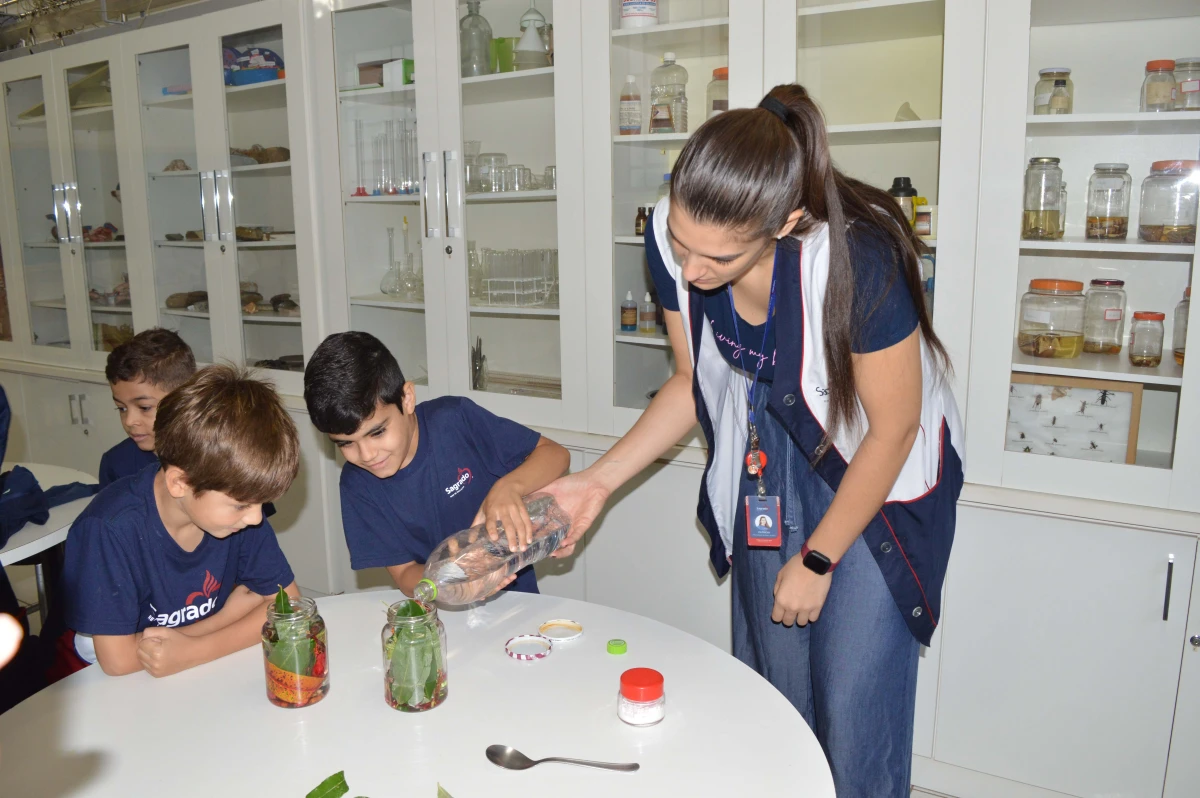 Galeria