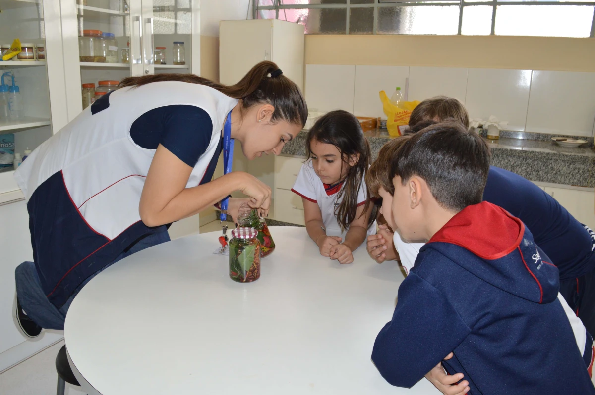 Galeria