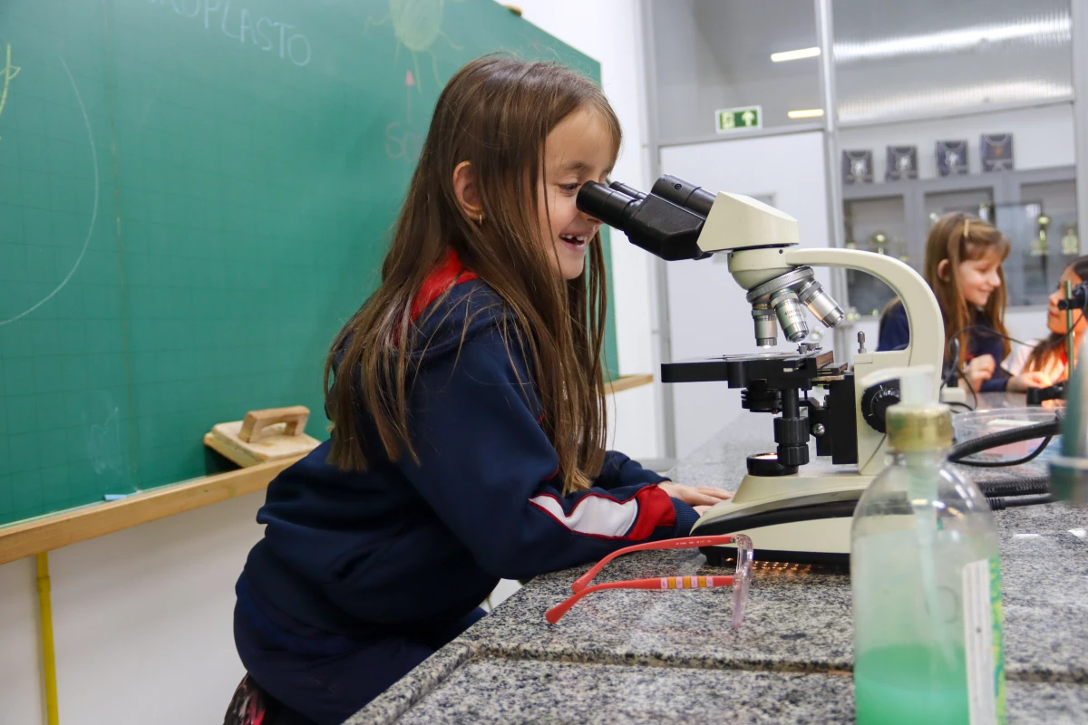 Galeria