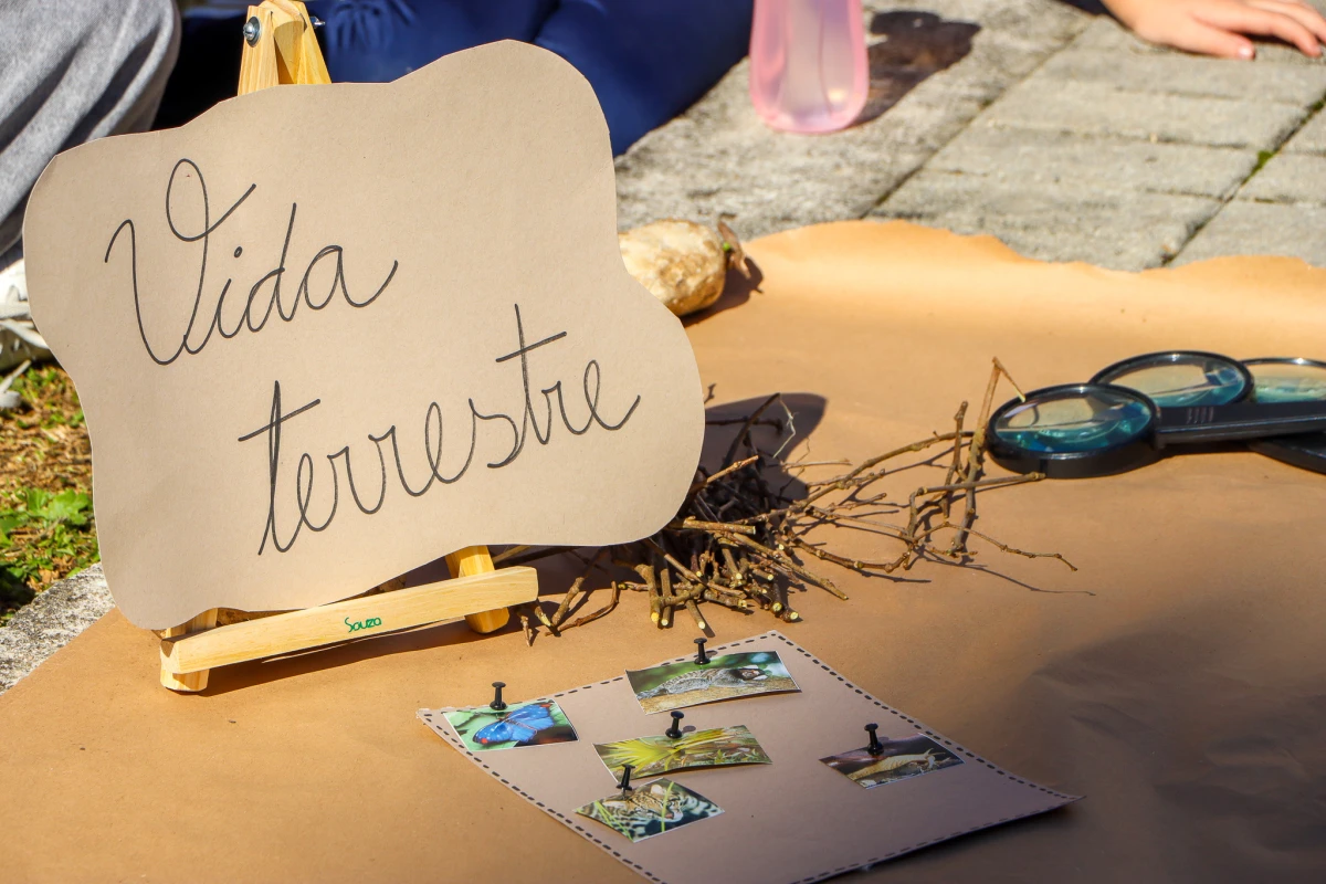 Galeria
