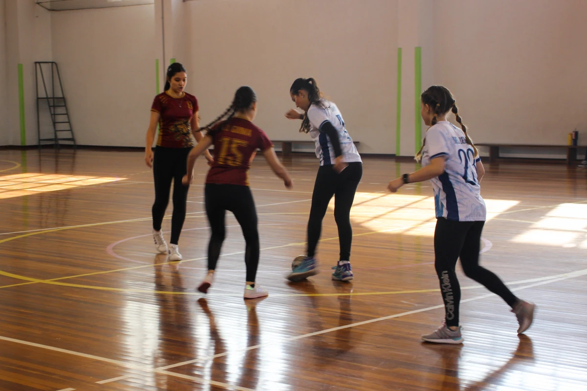 Galeria