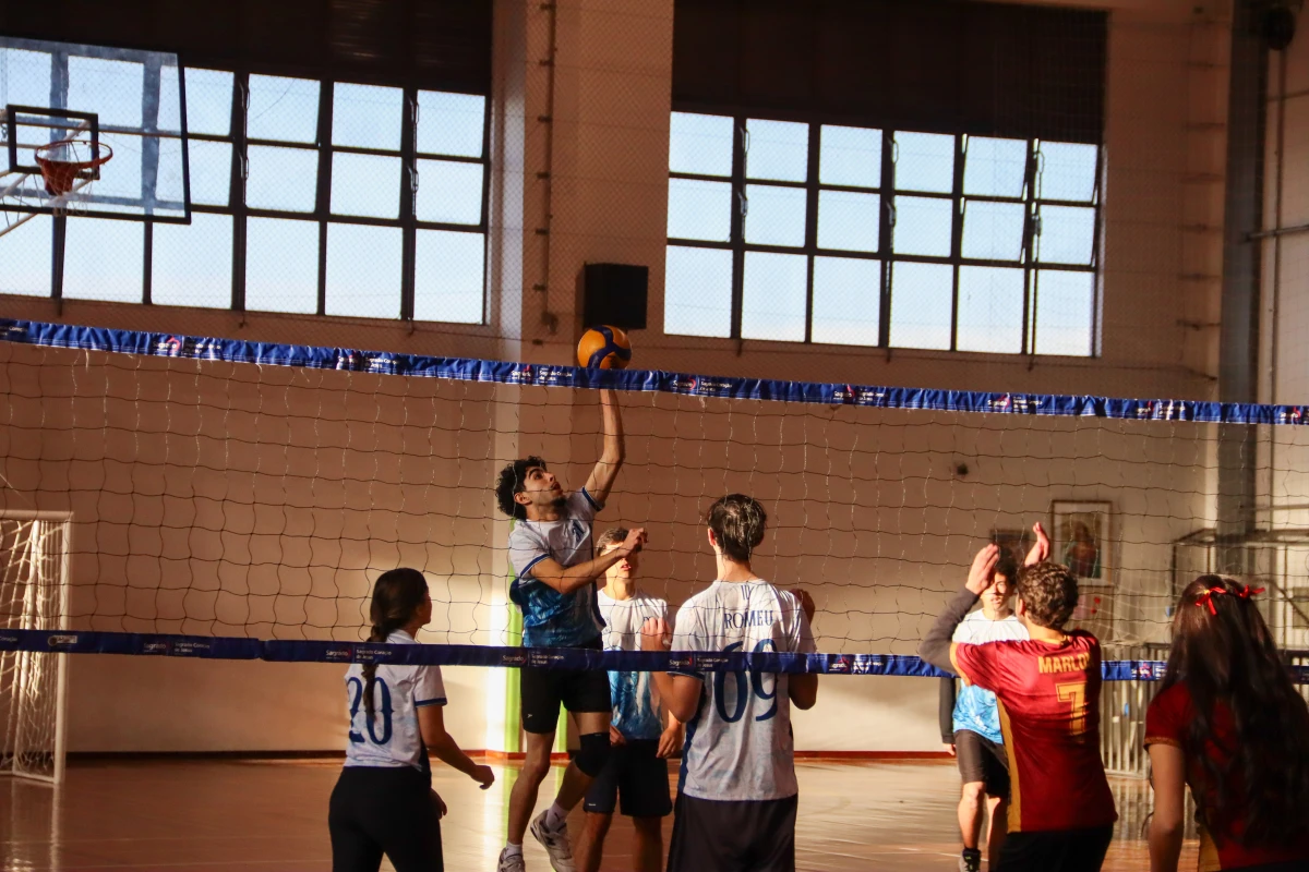 Galeria