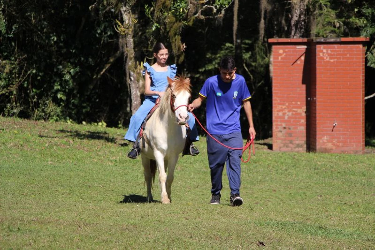 Galeria