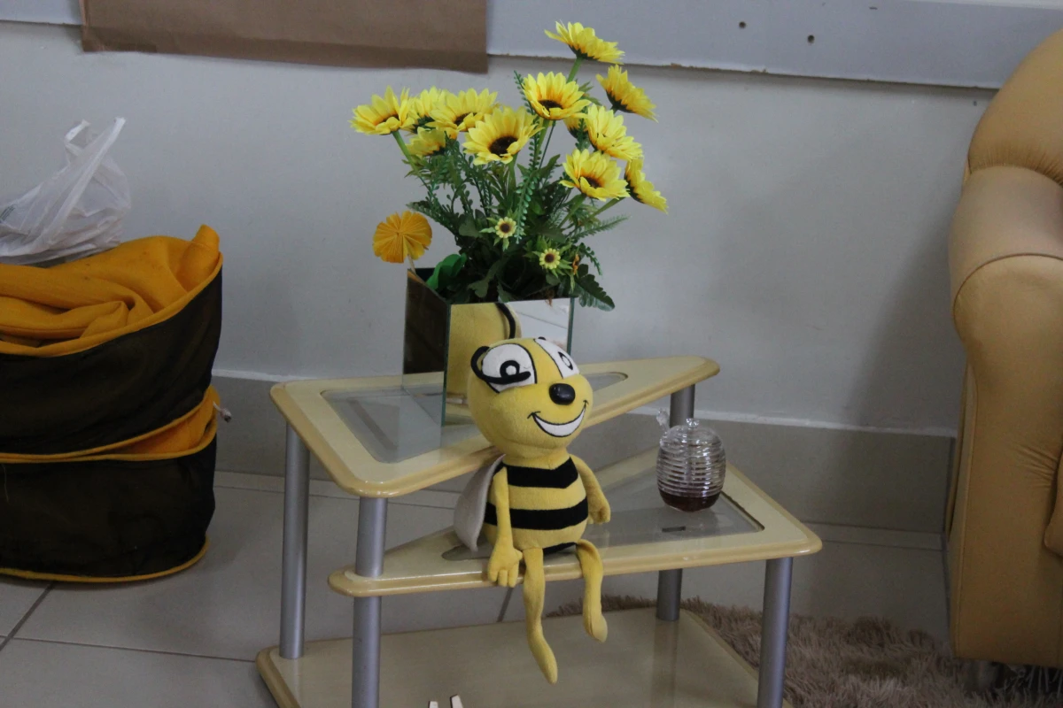 Galeria
