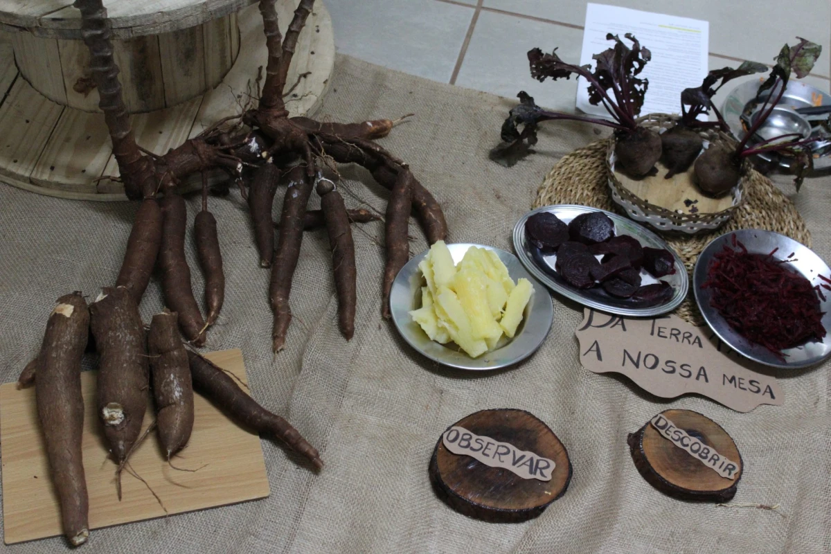 Galeria