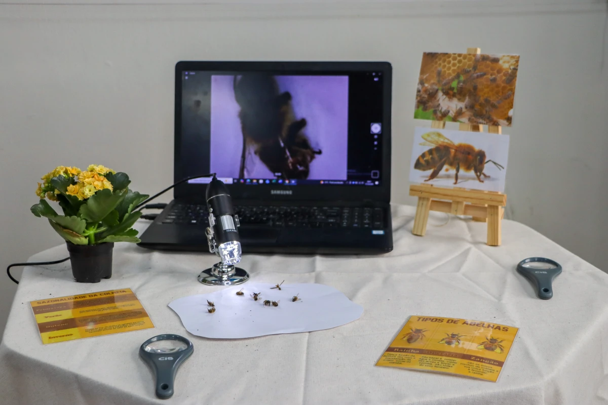 Galeria