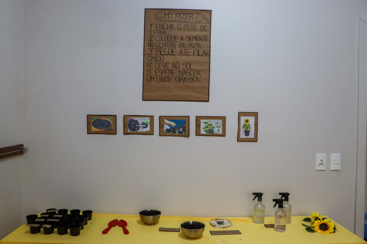 Galeria