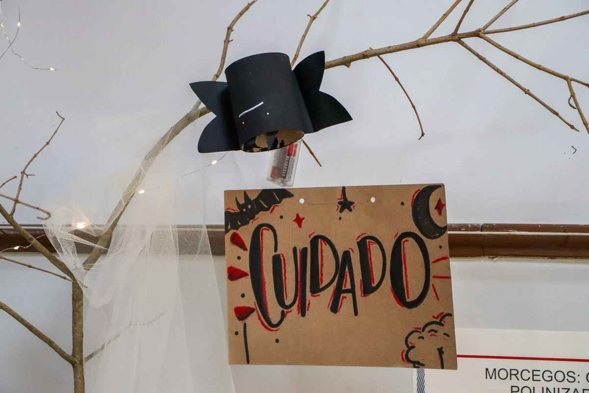 Galeria