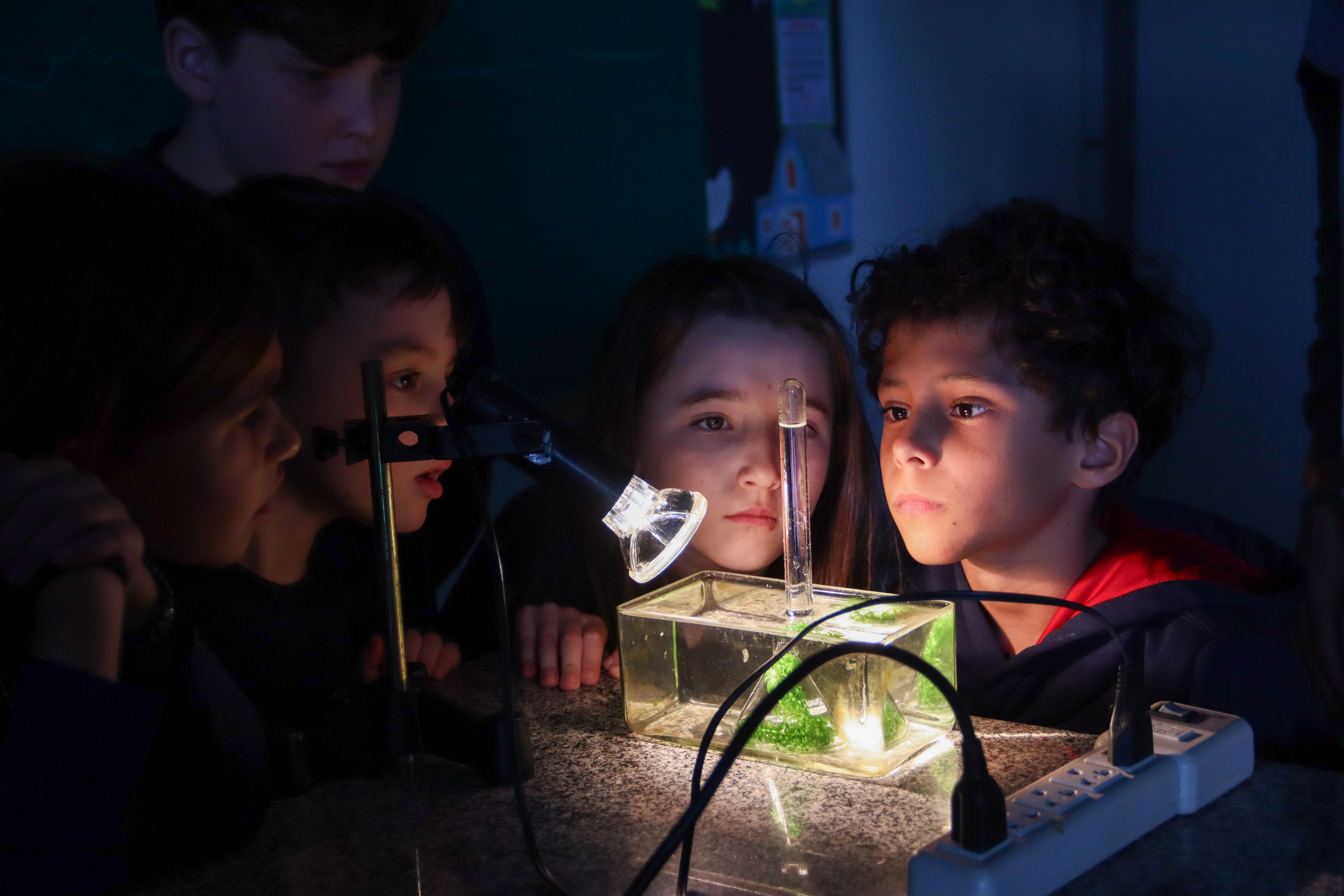 2ºs anos exploram as partes das plantas em aula prática de Ciências