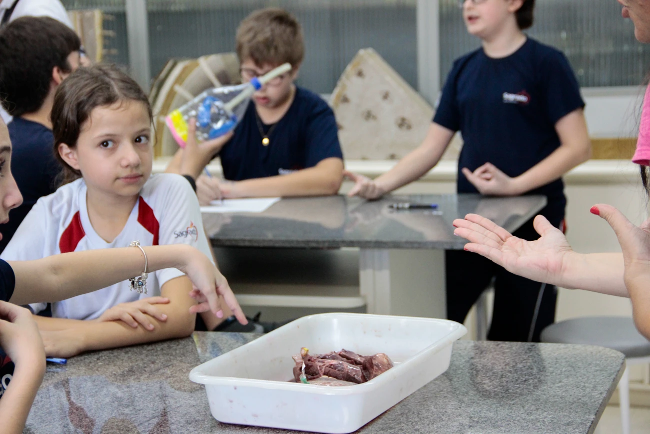 Turmas dos 7ºs anos participam de atividade prática com órgãos bovinos no Laboratório de Biologia