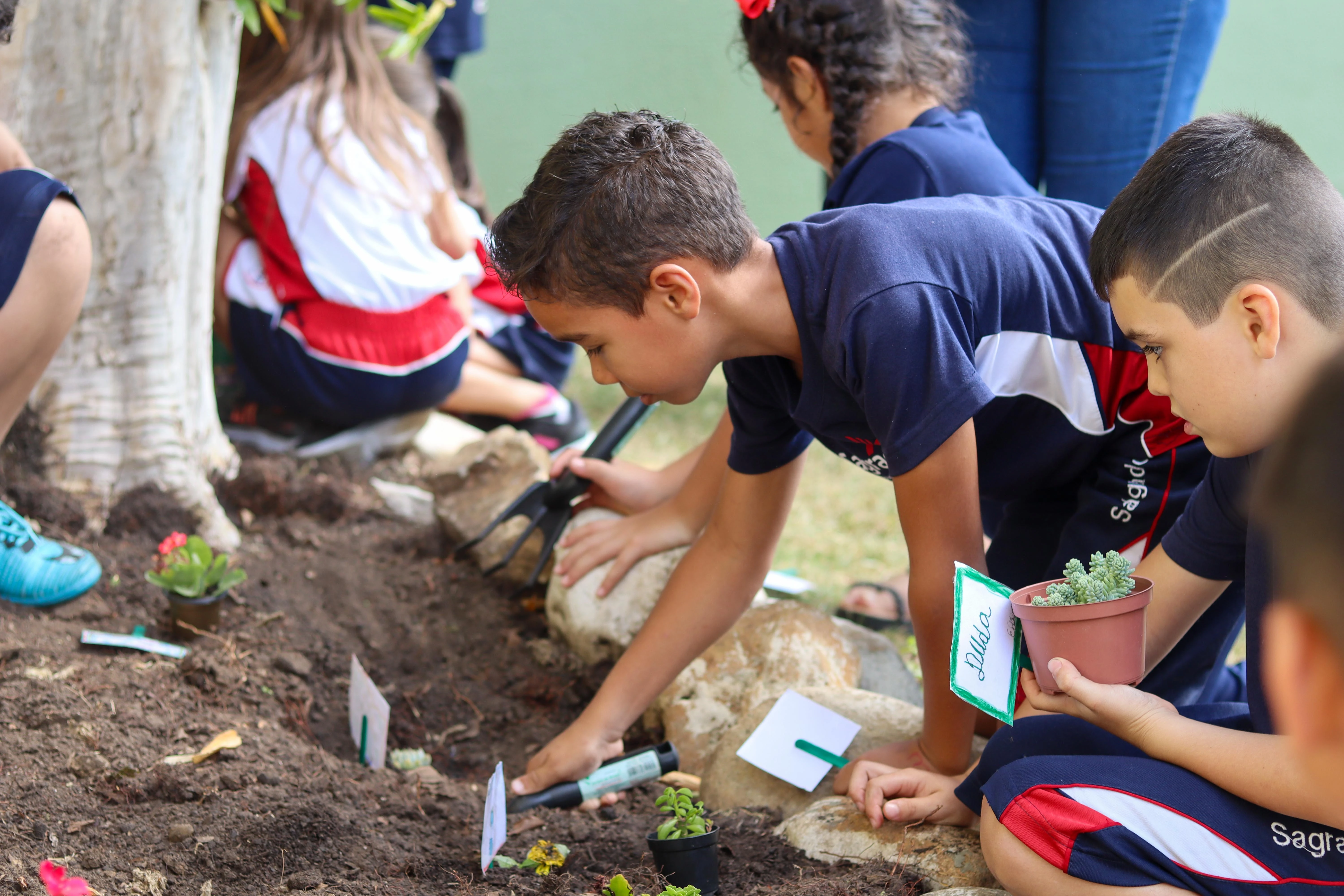 Educandos exploram o mundo vegetal