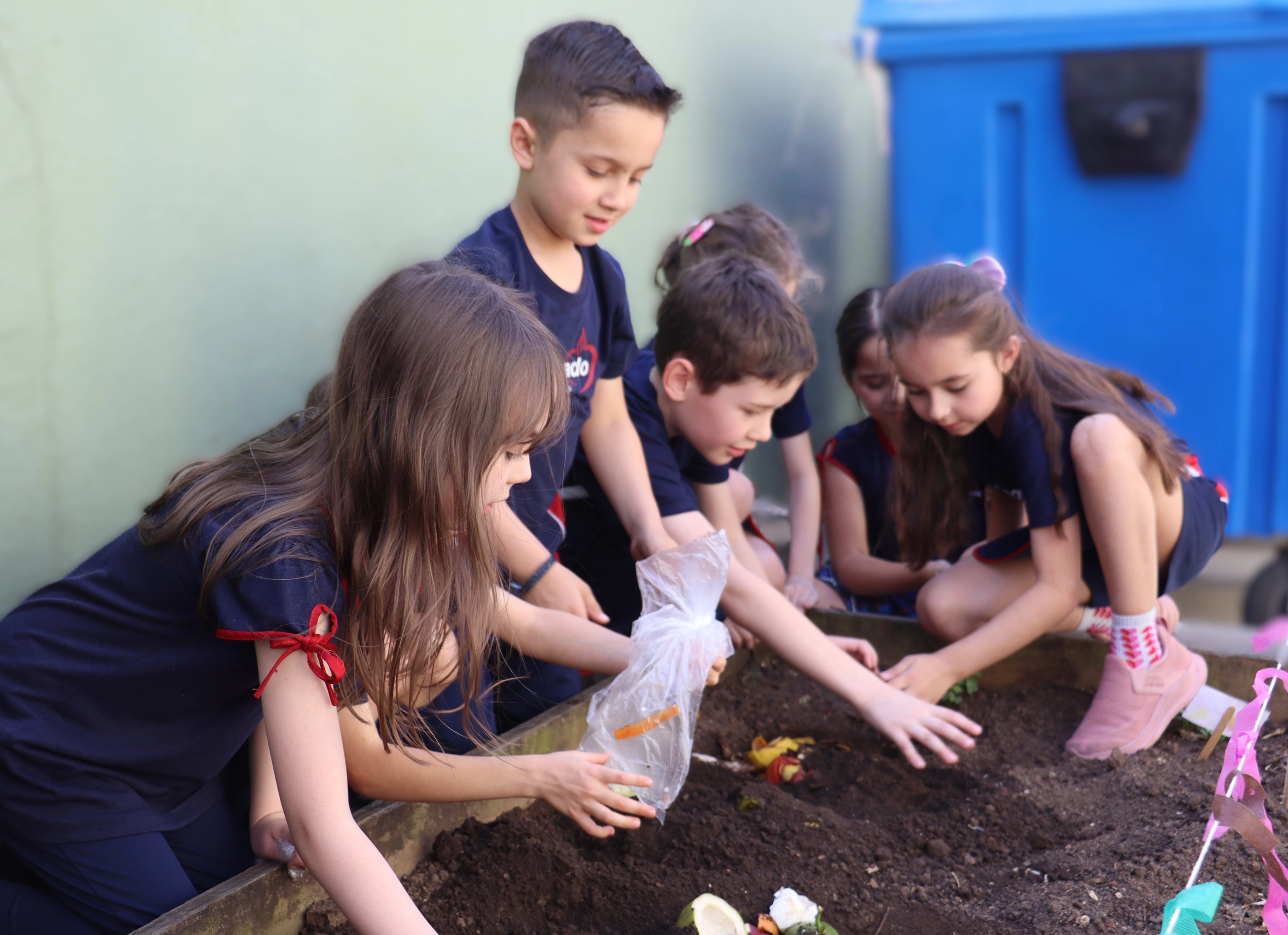 1º ano participa de experiências de educação ambiental e nutricional por meio do plantio, colheita, estudo e degustação de rabanetes