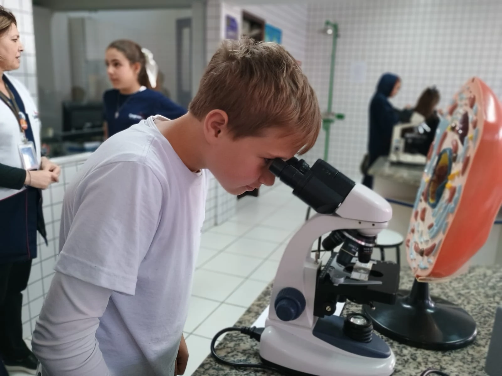 6ºs anos trabalham células durante as aulas do Componente Curricular de Ciências