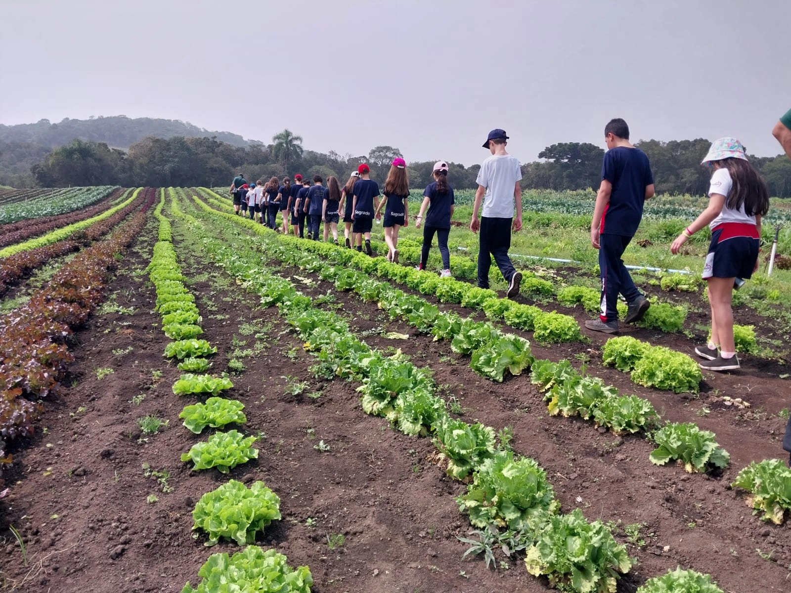 5º ano vivencia um dia inesquecível no Rancho Caminho das Águas