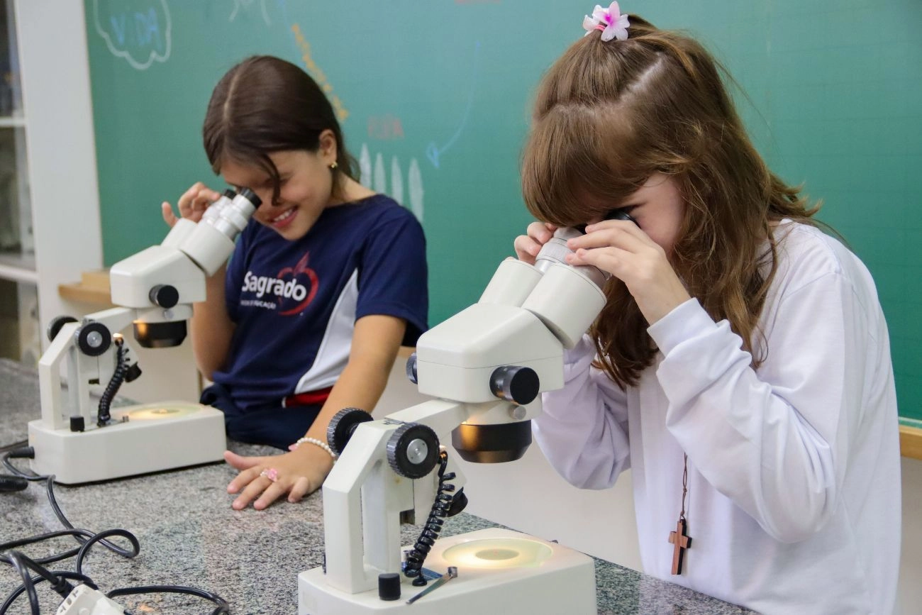 Ensino Fundamental: da base sólida ao pensamento crítico