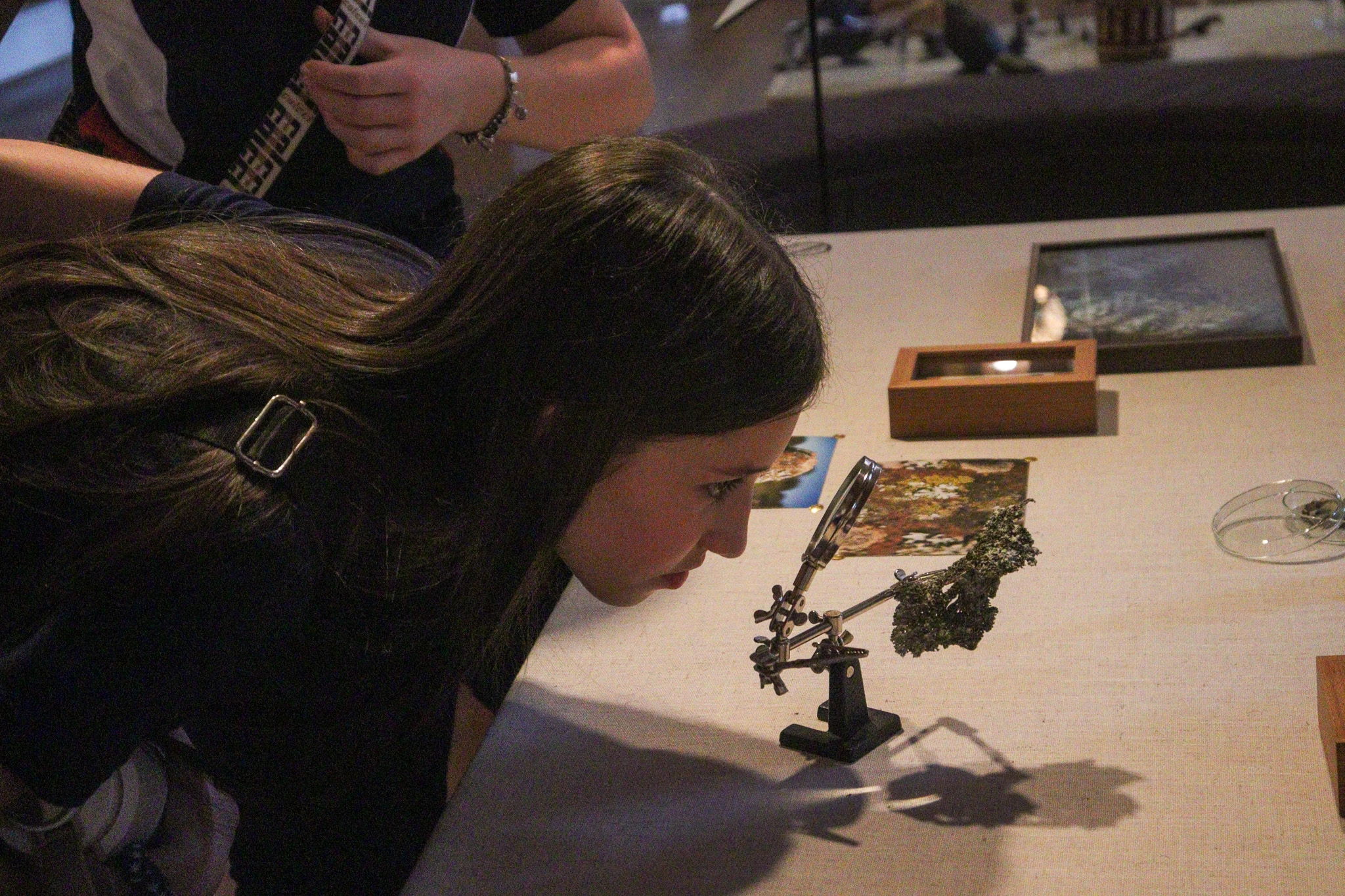 Aula de Campo nas Missões/RS!