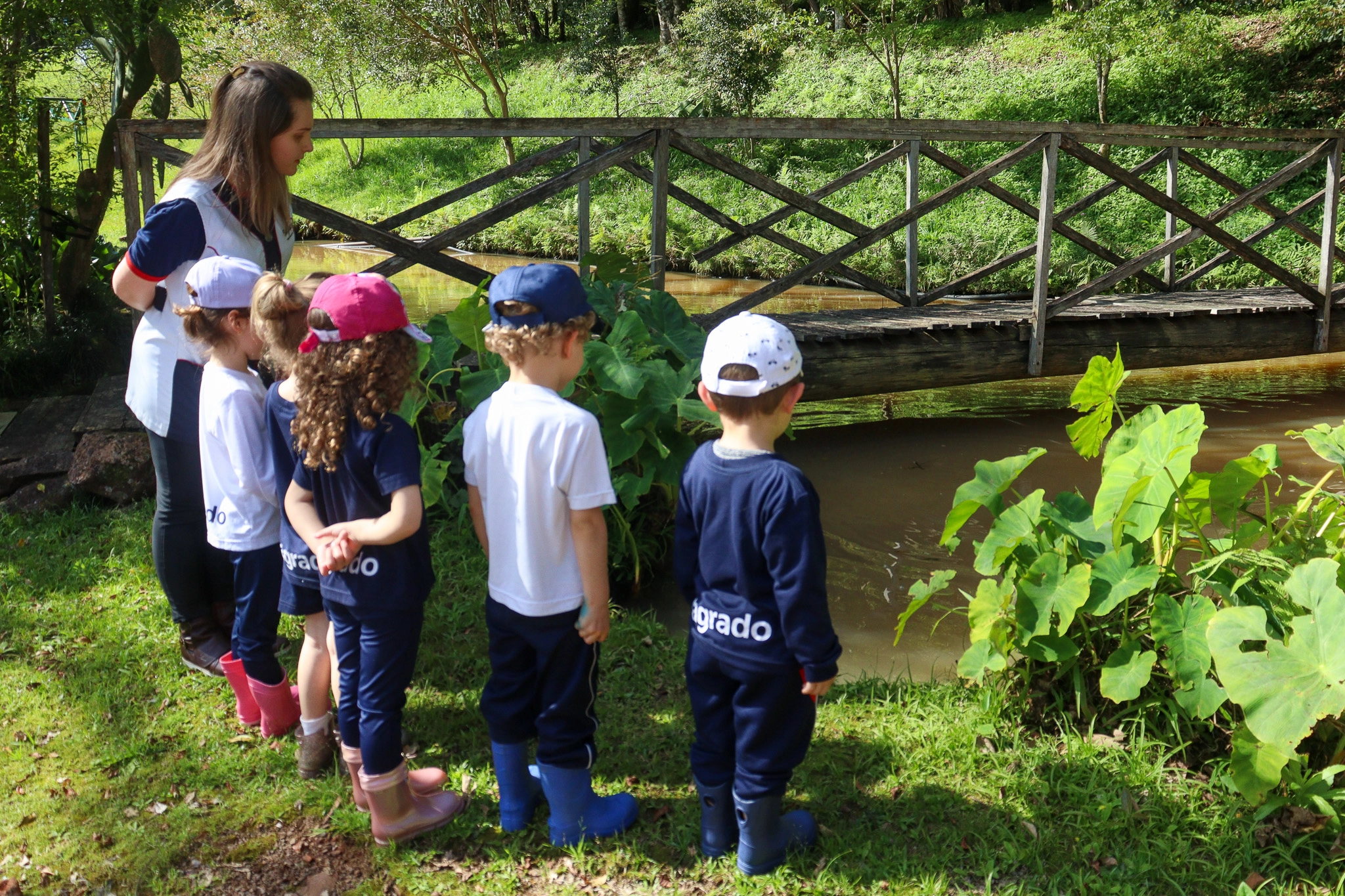 A Grande Árvore e os Exploradores