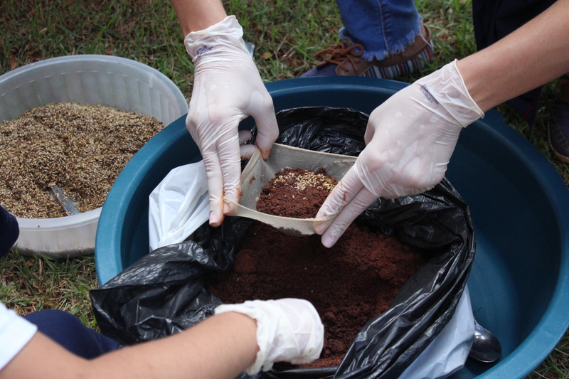 Infantil IV planta semente de Alpiste no Jardim da Unidade Educacional