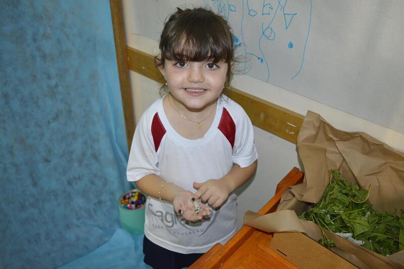 I Mostra Científica da Educação Infantil – Experiências Encantadoras