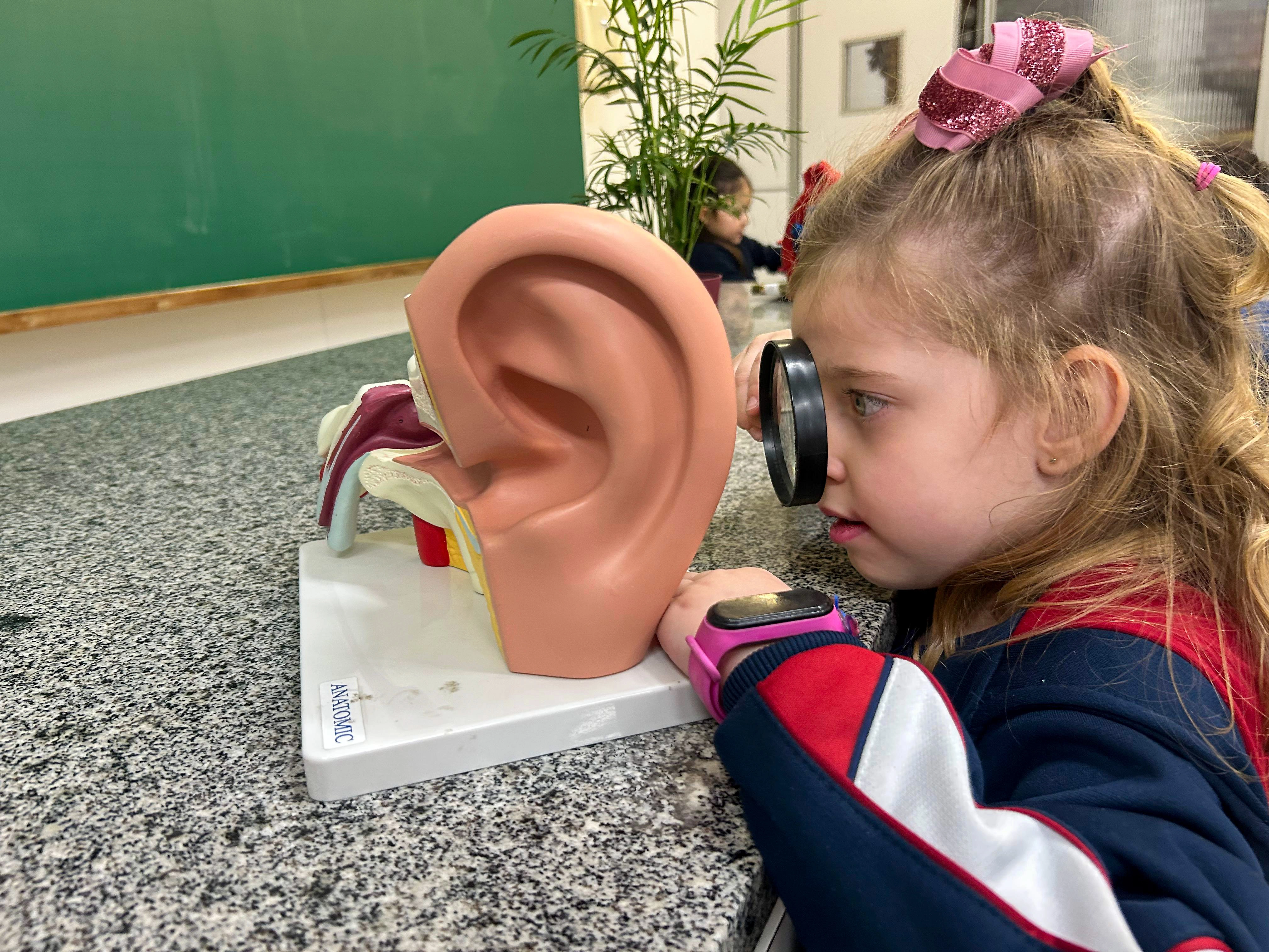 Infantil IV vive uma experiência sonora inesquecível no Laboratório de Biologia