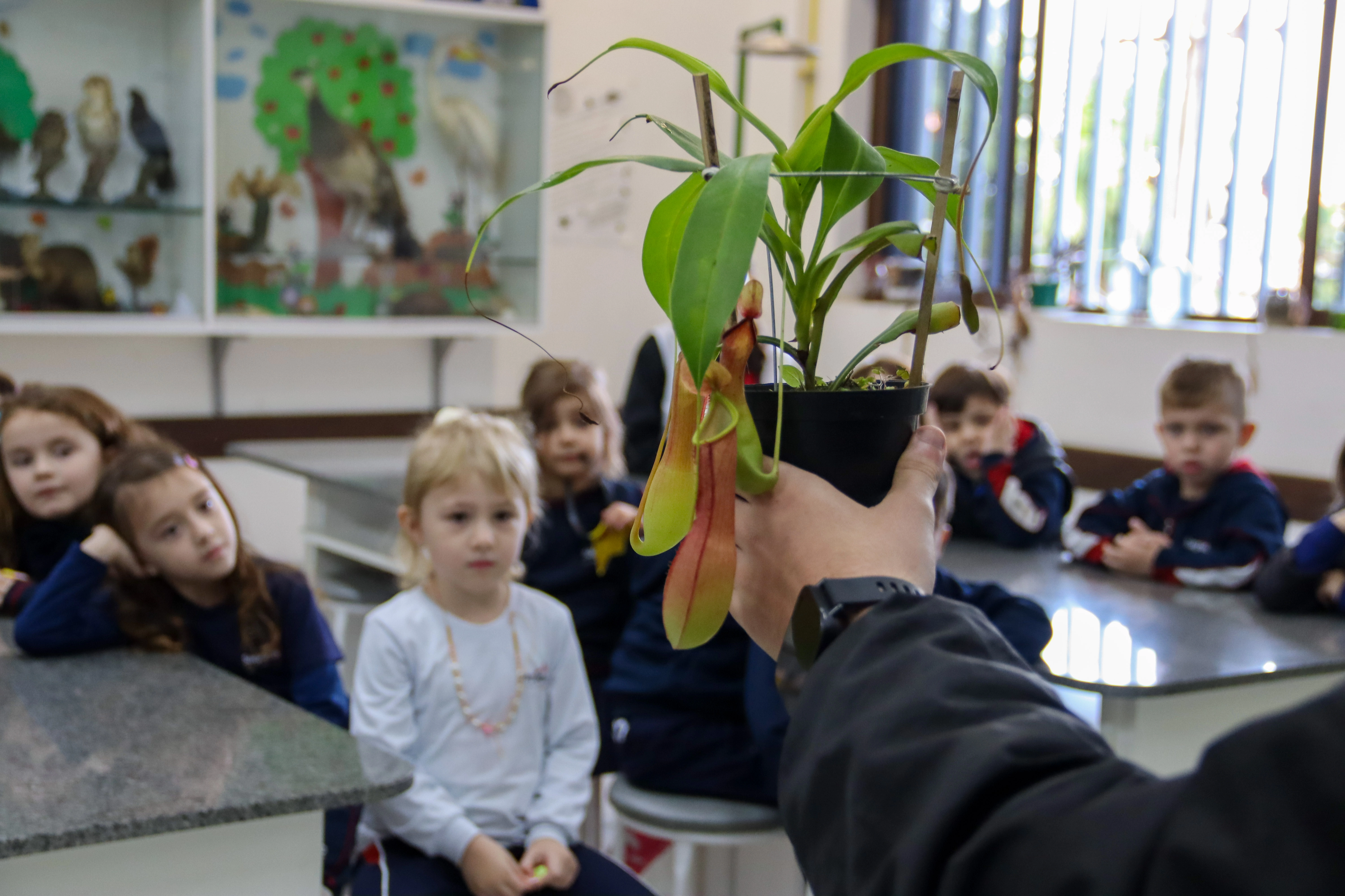 Turma dos Curiosos participa de vivência investigativa sobre plantas carnívoras