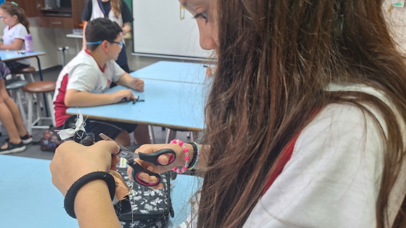 Galeria