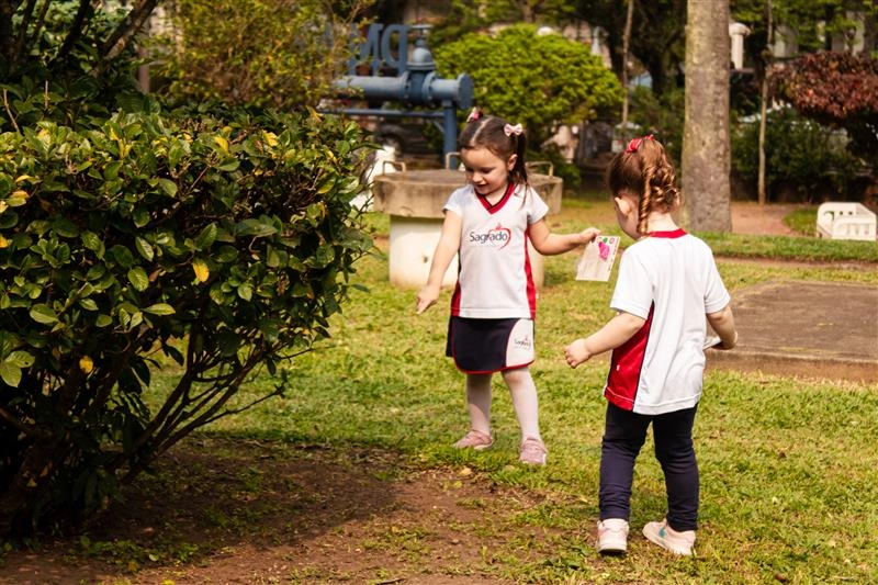 SAGRADO – Rede de Educação colabora na elaboração de Subsídio Nacional sobre a COP 30 e convida para o lançamento 