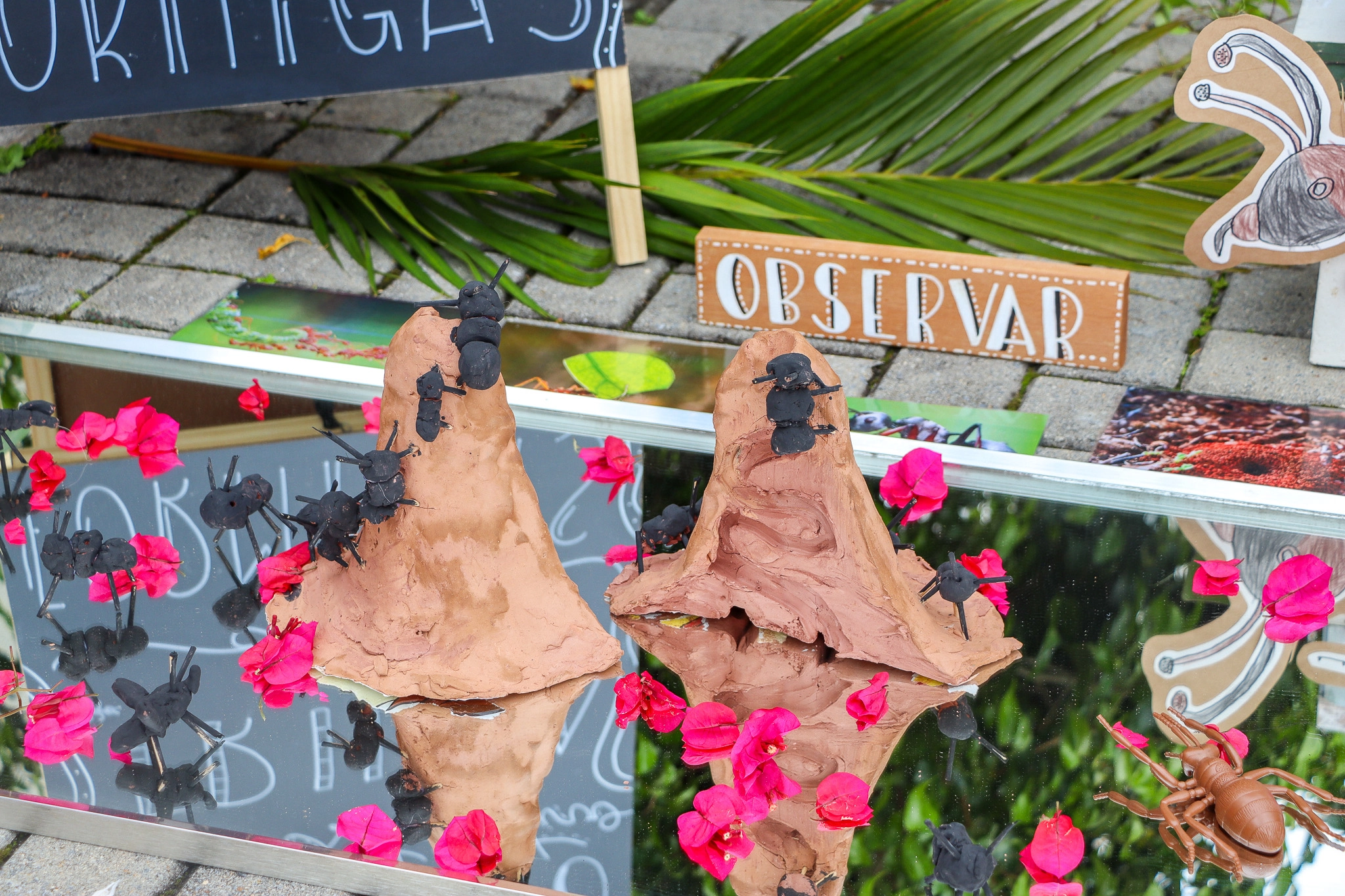 Infantil V vive aventura criativa na “Trilha das Formigas”