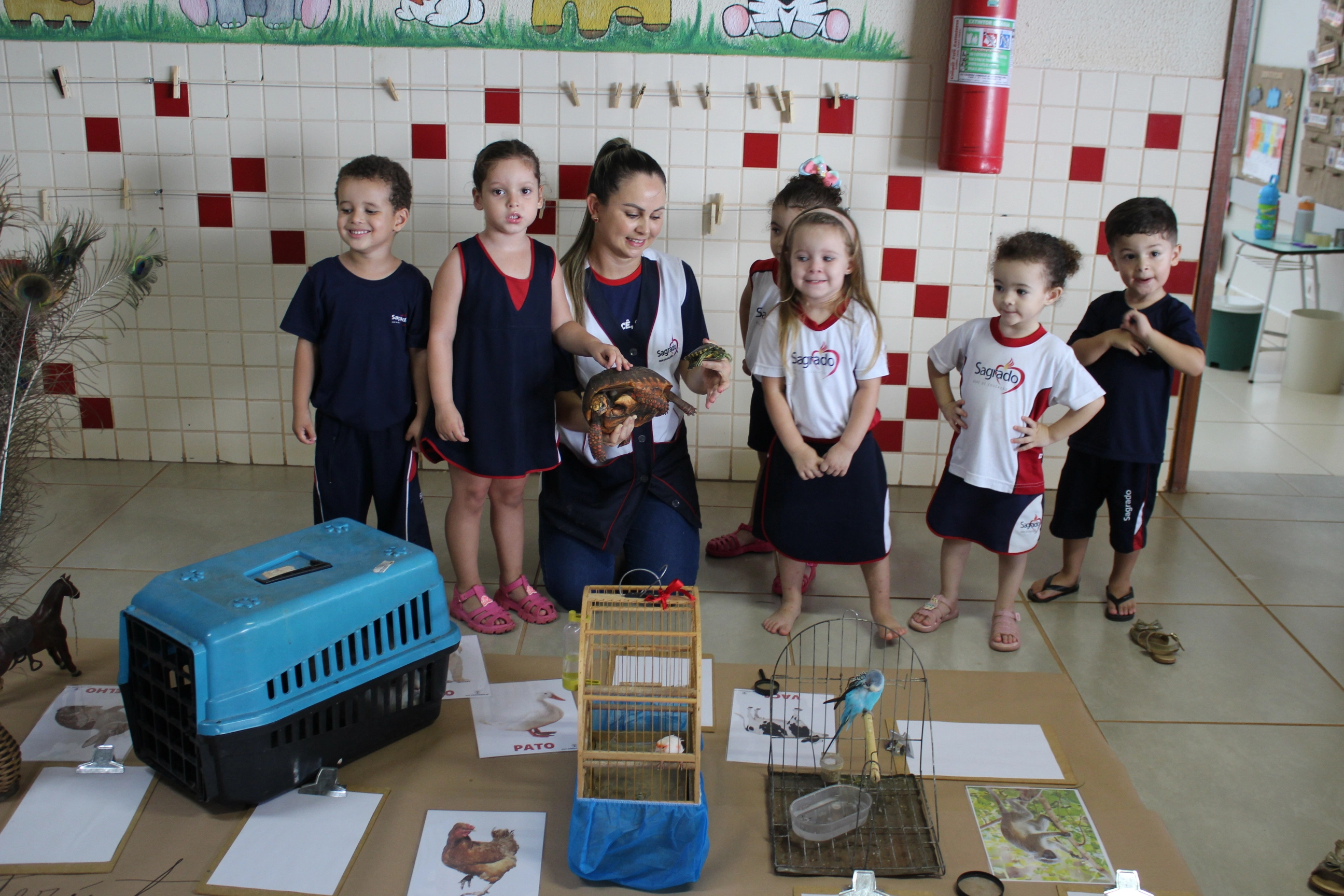 Vivência com animais enriquece o aprendizado no Infantil III