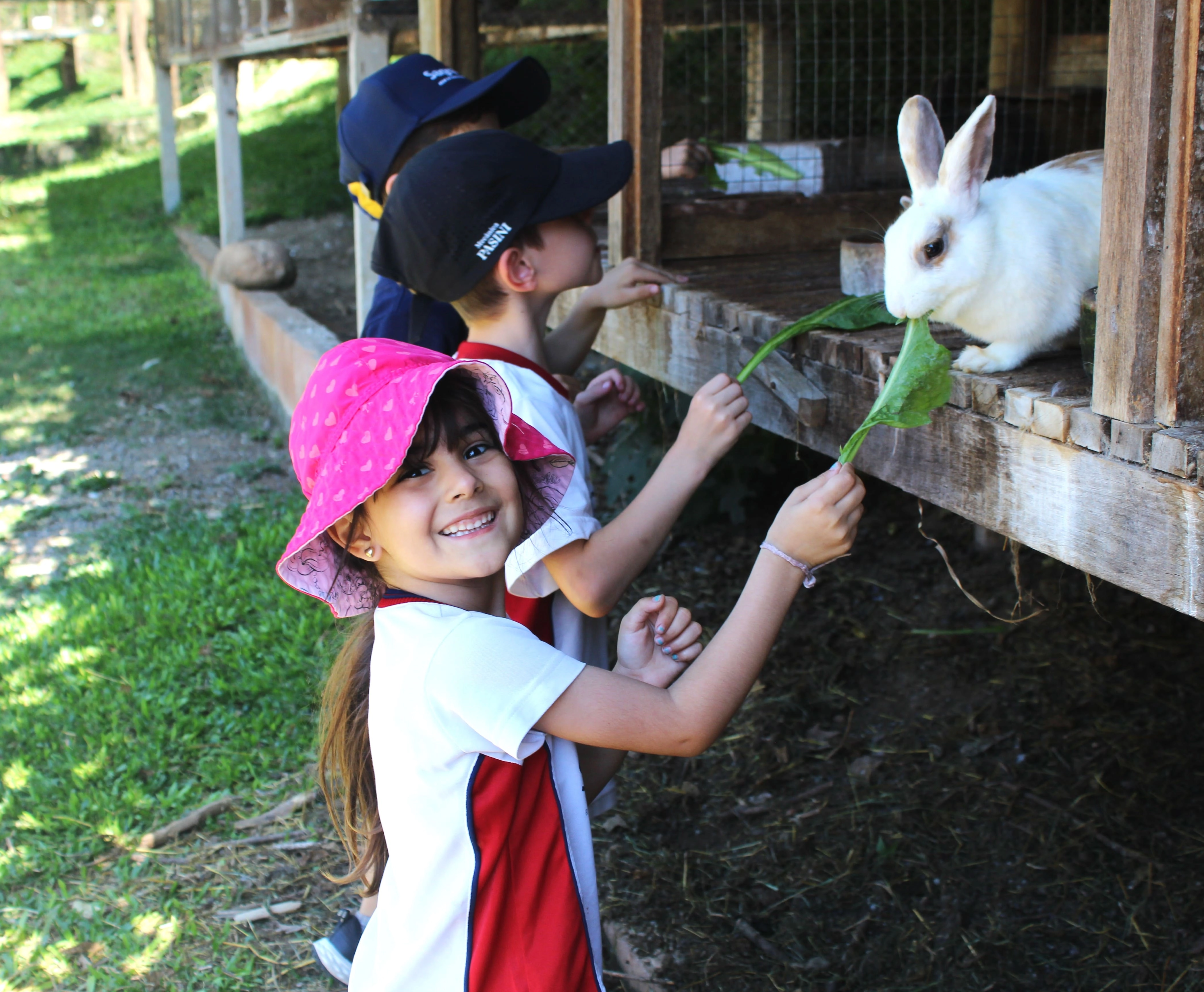 Vivência de Campo das turmas da Educação Infantil proporciona tarde de muita diversão no Grand Chalé