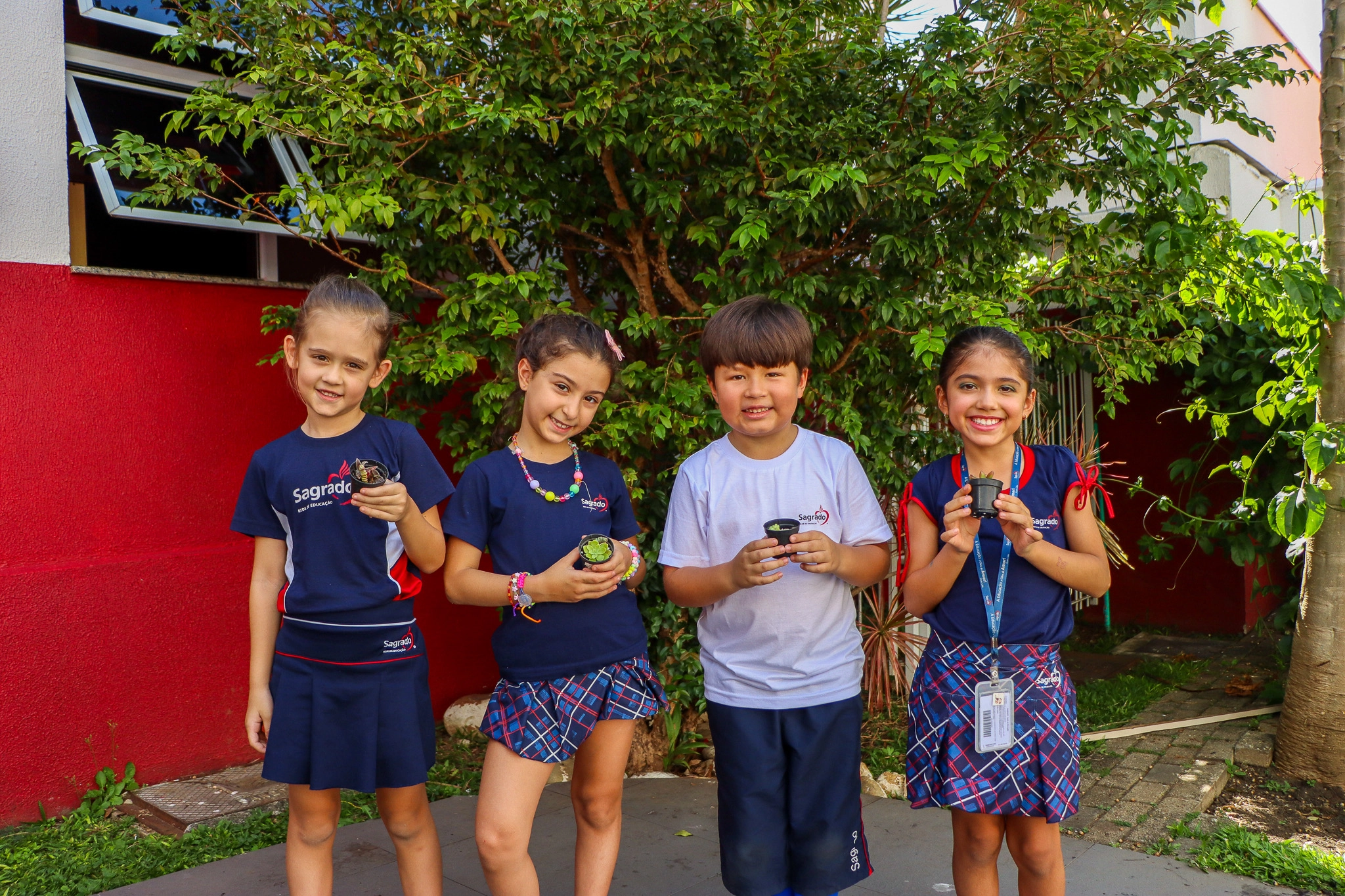 Entre folhas e descobertas: aula de Ciências ganha vida com cultivo de suculentas