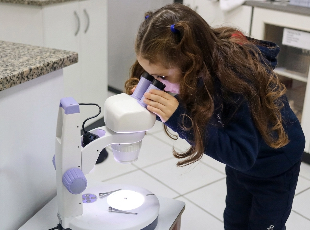 Contraturno vivencia aprendizados sobre as abelhas no Projeto Experiências Incríveis