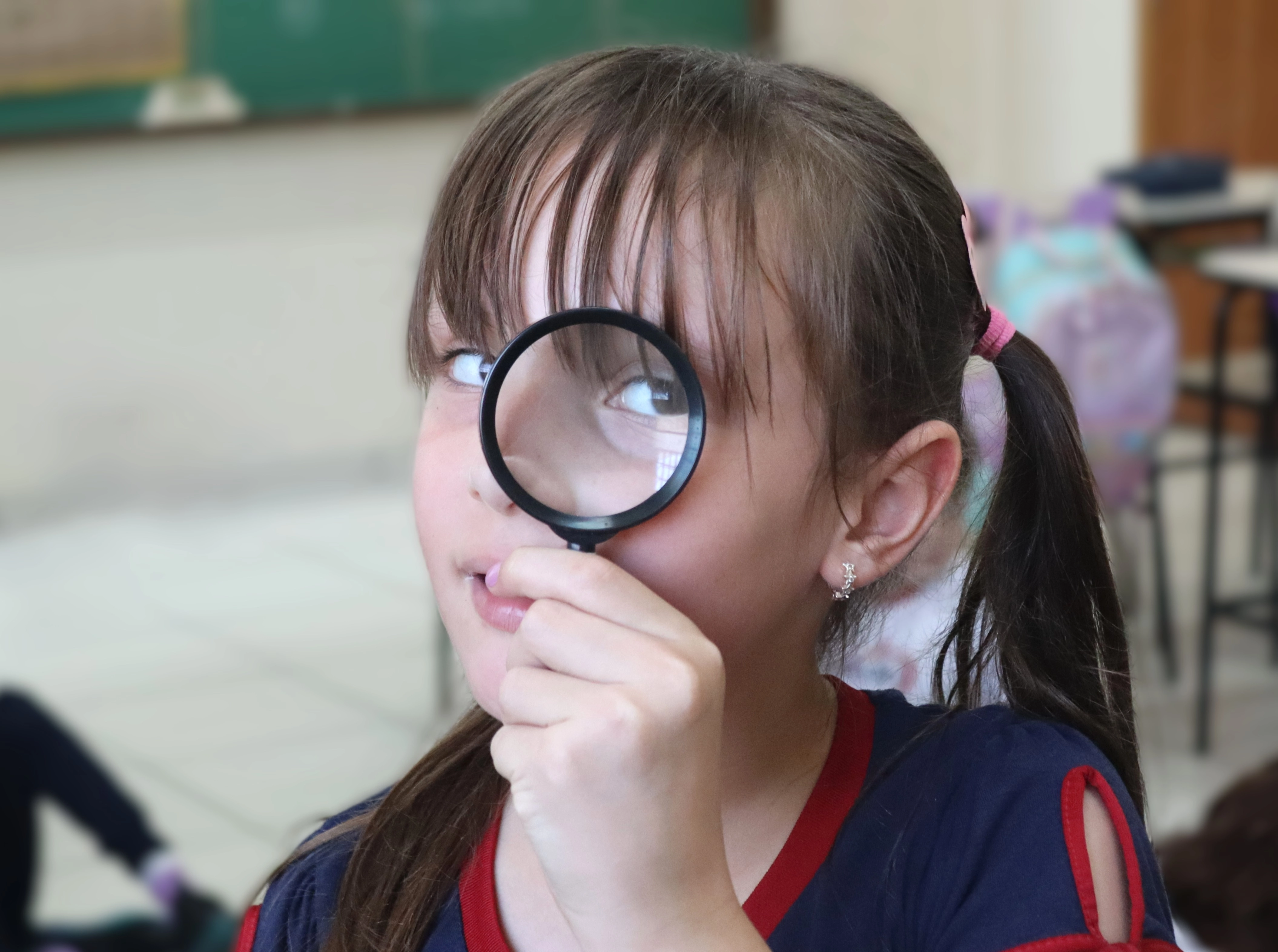 2º ano 1 amplia os conhecimentos durante investigação sobre animais e seus habitats