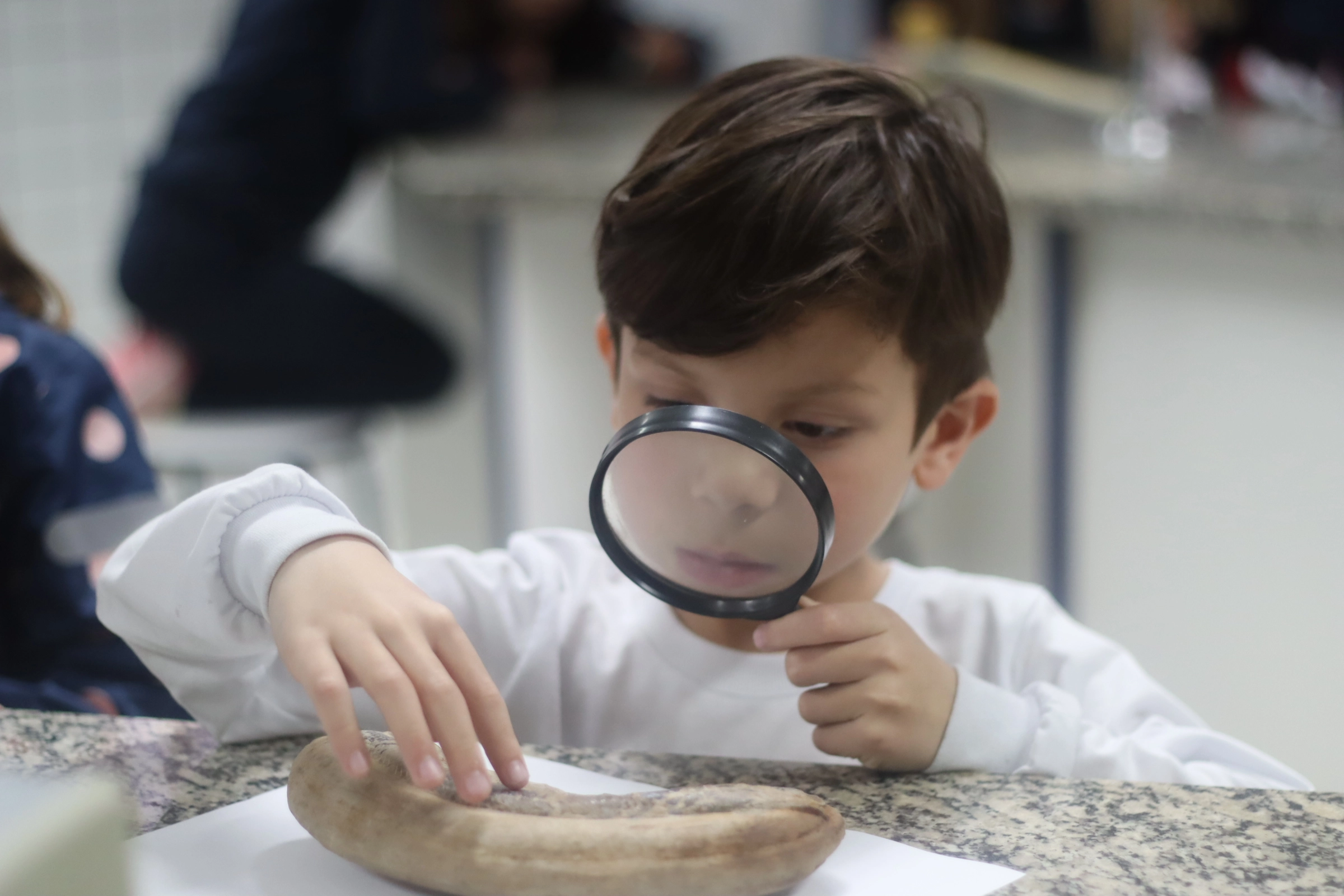Explorando o passado: conhecendo os fósseis