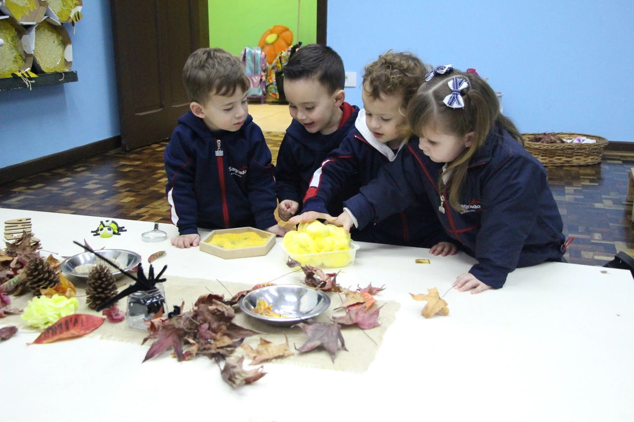 Turma da Abelha (Infantil II) explora o fascinante universo das abelhas